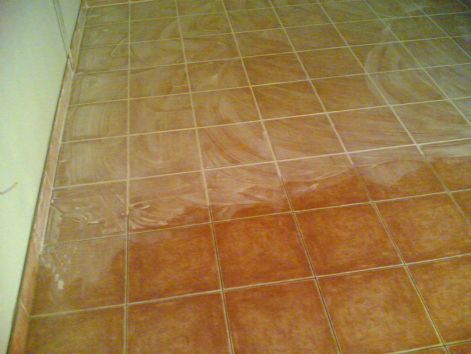 20100925.jpg 20100925.jpg